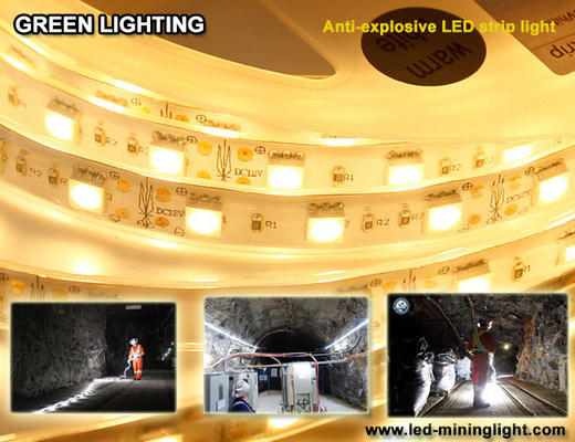 La striscia flessibile 1500 di anti lum explsoive LED 60pcs impermeabile ha condotto ogni metro
