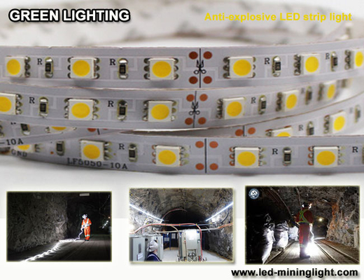 La striscia flessibile 1500 di anti lum explsoive LED 60pcs impermeabile ha condotto ogni metro
