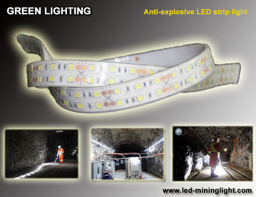 La striscia flessibile 1500 di anti lum explsoive LED 60pcs impermeabile ha condotto ogni metro