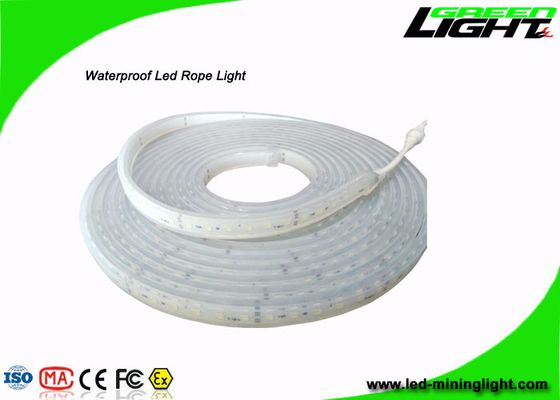 Lampade fluorescenti principali all'aperto di sicurezza professionale con 60Leds/M, resistente al fuoco