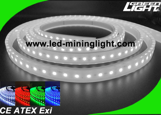Le lampade fluorescenti principali all'aperto di SMD5050 24V impermeabilizzano 5 metri per bobina