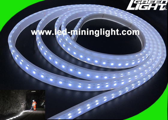 Le lampade fluorescenti principali all'aperto di SMD5050 24V impermeabilizzano 5 metri per bobina