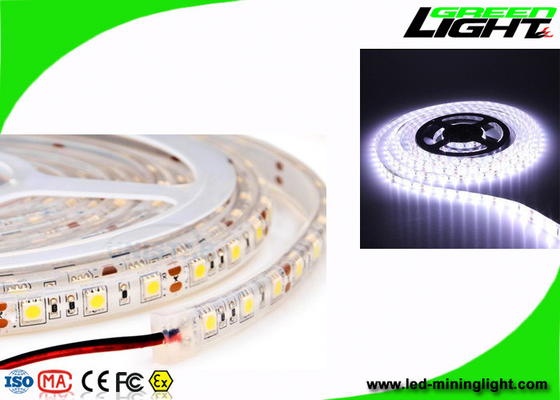 Le lampade fluorescenti principali all'aperto di SMD5050 24V impermeabilizzano 5 metri per bobina