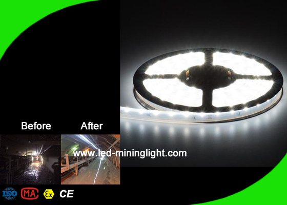 Nastro del lume LED delle lampade fluorescenti flessibili di 16W/M LED l'alto accende il servizio del ODM dell'OEM