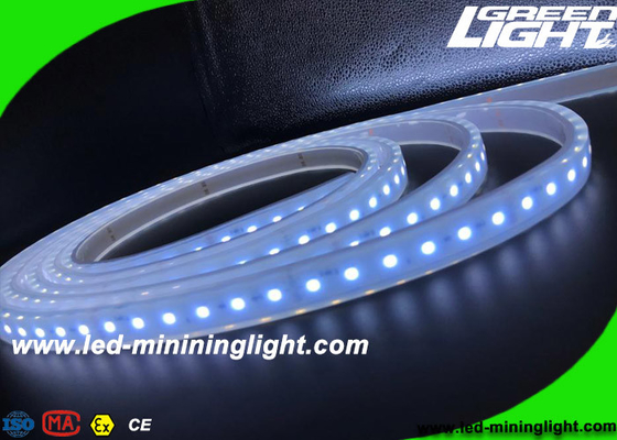 24 vite lunghe protetta contro le esplosioni del rotolo flessibile delle lampade fluorescenti 5m/di volt LED