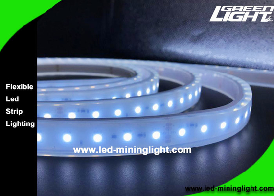 24 vite lunghe protetta contro le esplosioni del rotolo flessibile delle lampade fluorescenti 5m/di volt LED