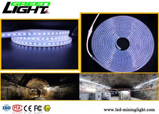 SMD5050 RGB colora le lampade fluorescenti principali impermeabili 24 basse tensioni di volt protette contro le esplosioni