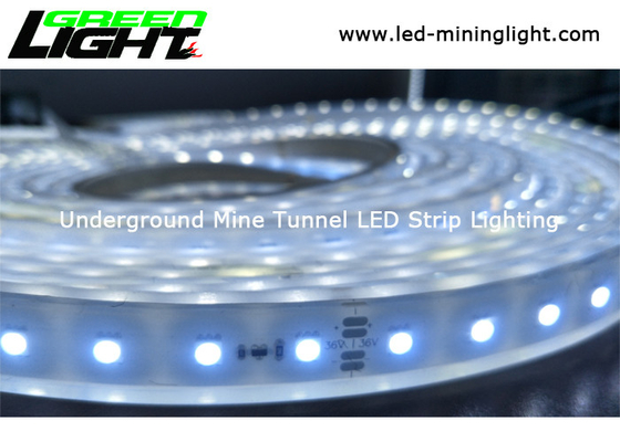 Risparmio energetico impermeabile flessibile standard IP68 di CC 24V delle lampade fluorescenti della gamma LED del silicio