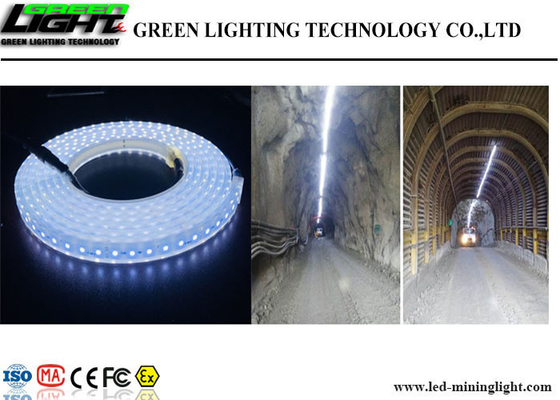 Lampade fluorescenti flessibili all'aperto del LED 60 LED/m. High Brightness Fire resistente