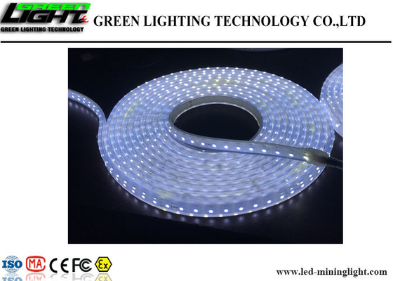 Lampade fluorescenti flessibili all'aperto del LED 60 LED/m. High Brightness Fire resistente
