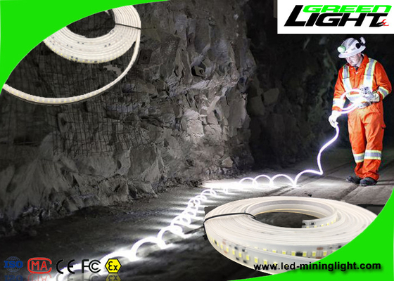 Lampade fluorescenti flessibili impermeabili 24v 60 LED del LED per metro con una garanzia da 1 anno