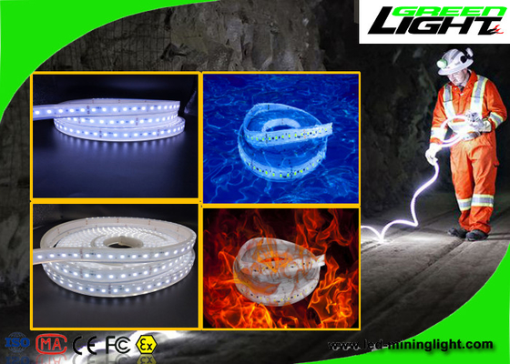 Lampade fluorescenti flessibili impermeabili 24v 60 LED del LED per metro con una garanzia da 1 anno