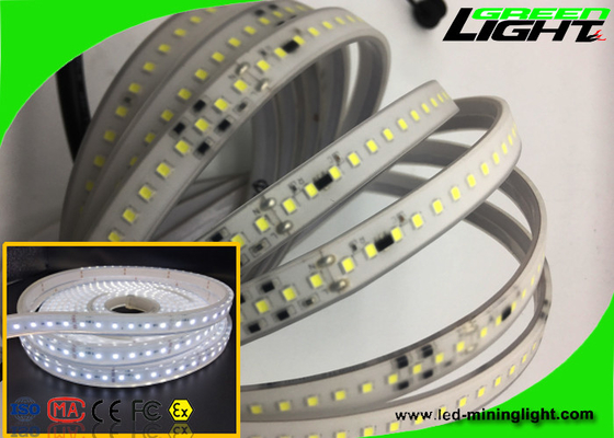 Lampade fluorescenti flessibili luminose eccellenti 5500K-6000k all'aperto 16W/M Fire Resistant di Smd LED