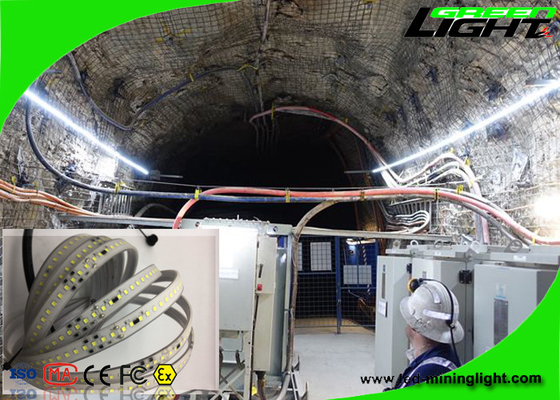 Lampade fluorescenti flessibili luminose eccellenti 5500K-6000k all'aperto 16W/M Fire Resistant di Smd LED