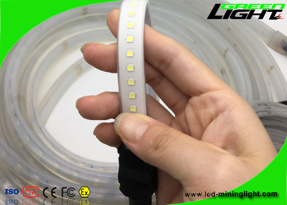Le anti lampade fluorescenti principali flessibili esplosive di Smd impermeabilizzano il CA 110V-250V di Rgb 5050