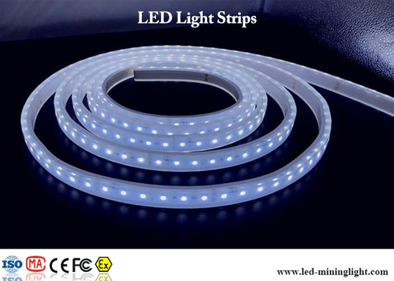 24V lampade fluorescenti principali luminose eccellenti RGB SMD 5050 con i connettori impermeabili