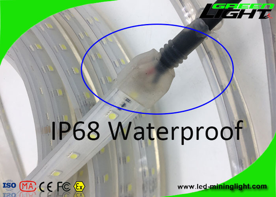 Le lampade fluorescenti flessibili materiali SMD 5050 IP68 di Sillicone 12v LED impermeabilizzano 50/60 di hertz