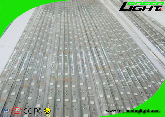 5050 resistenti al fuoco bianchi luminosi flessibili principali impermeabili 24v delle lampade fluorescenti di Smd