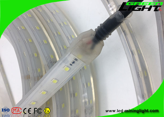 5050 resistenti al fuoco bianchi luminosi flessibili principali impermeabili 24v delle lampade fluorescenti di Smd