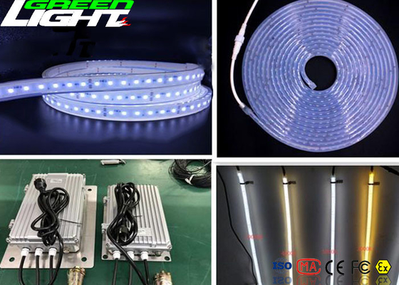 Luce flessibile principale bianca calda del nastro, lampade fluorescenti principali impermeabili sopra protezione corrente