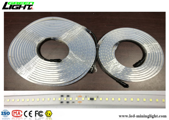 Le lampade fluorescenti principali bianche calde all'aperto di SMD5050 24V impermeabilizzano 5 metri per bobina