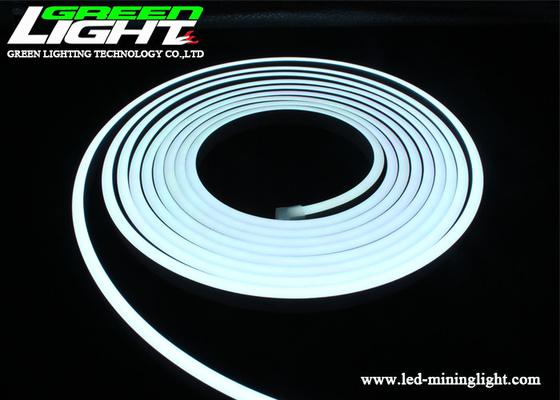 Luce al neon 12VDC della corda di 4200K 12W/M RGB LED per all'aperto
