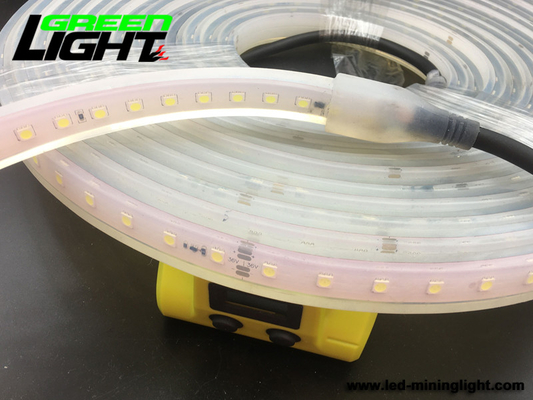 Lampade fluorescenti principali impermeabili 12V RGB ATEX di IP68 6500K SMD5050