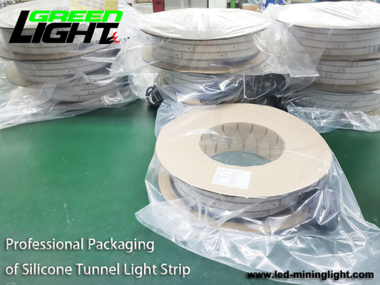 Lampade fluorescenti principali impermeabili 12V RGB ATEX di IP68 6500K SMD5050