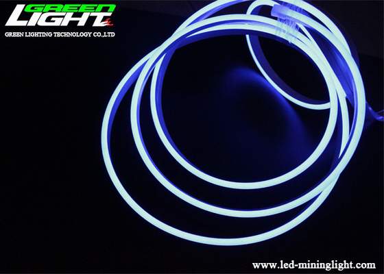 Silicone flessibile 420LM di accensione AL NEON di 12W/M SMD2835 LED per la decorazione