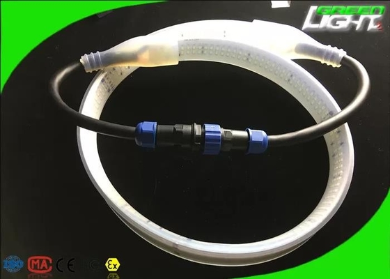 il silicone 2230lum/m ha condotto la doppia fila DC36V/AC110V/220V SMD5050 30W/M della luce di striscia colore bianco
