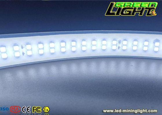 il silicone 2230lum/m ha condotto la doppia fila DC36V/AC110V/220V SMD5050 30W/M della luce di striscia colore bianco