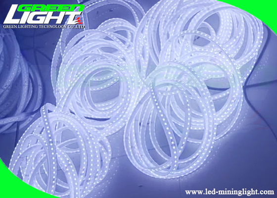 l'estrazione mineraria 1100Lum ha condotto la miniera di carbone di Gal Overmolding Anti Explosive For del silicone delle lampade fluorescenti