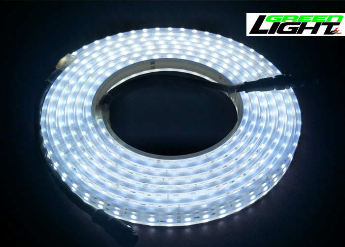 Le lampade fluorescenti principali flessibili impermeabili IP68, hanno condotto il silicio di Flex Strip Rope Light Priority