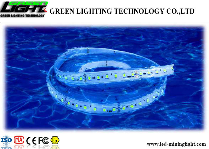 La bassa tensione 24V ha condotto il risparmio energetico flessibile della bobina del gel di silice di illuminazione di striscia del cavo 5m/