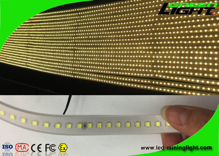 Le lampade fluorescenti flessibili materiali SMD 5050 IP68 di Sillicone 12v LED impermeabilizzano 50/60 di hertz